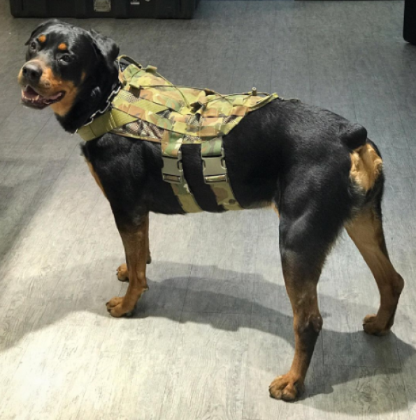 G TMC Med size Dog Vest ( Multicam )